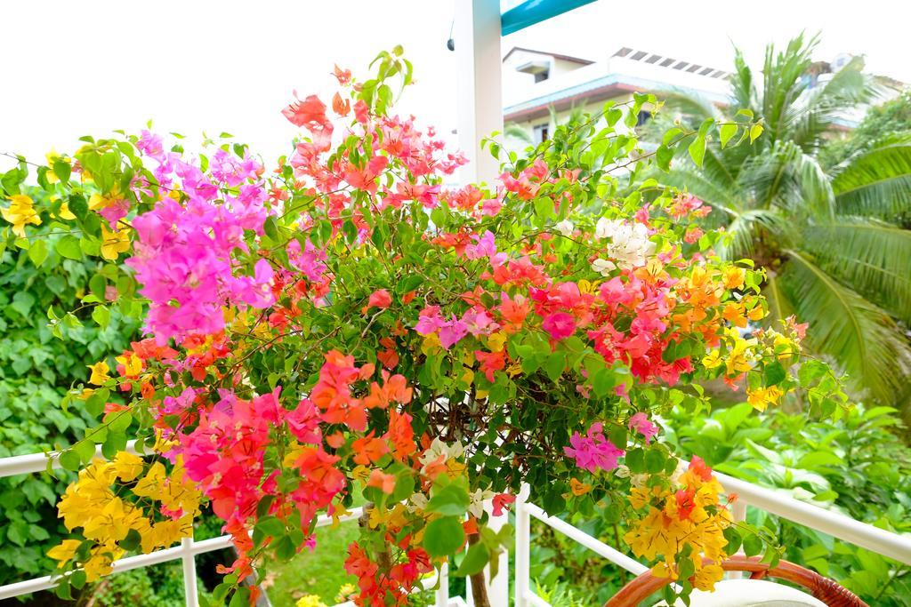 Adonis Guest House Patong Eksteriør bilde