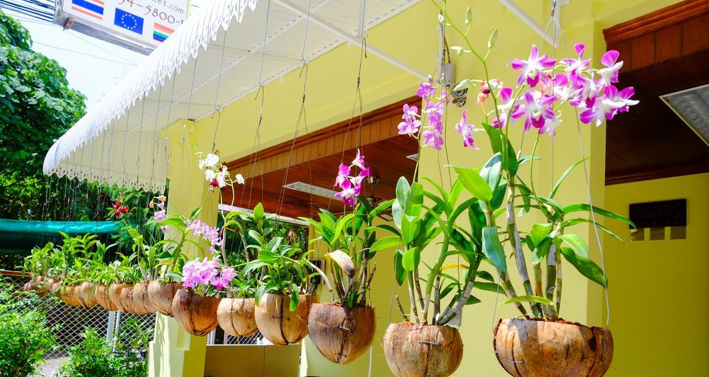 Adonis Guest House Patong Eksteriør bilde