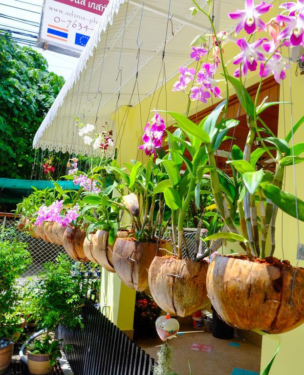 Adonis Guest House Patong Eksteriør bilde